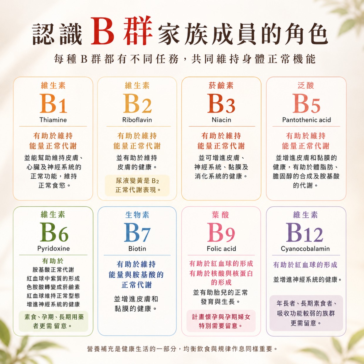 認識 B 群家族成員的角色 認識 B 群家族成員的角色