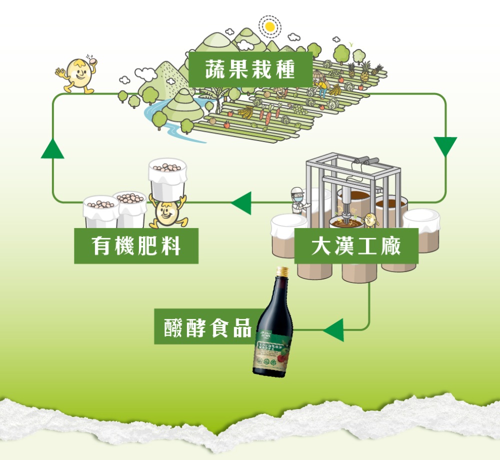 大漢酵素 V52蔬果維他植物醱酵液6+1特惠組