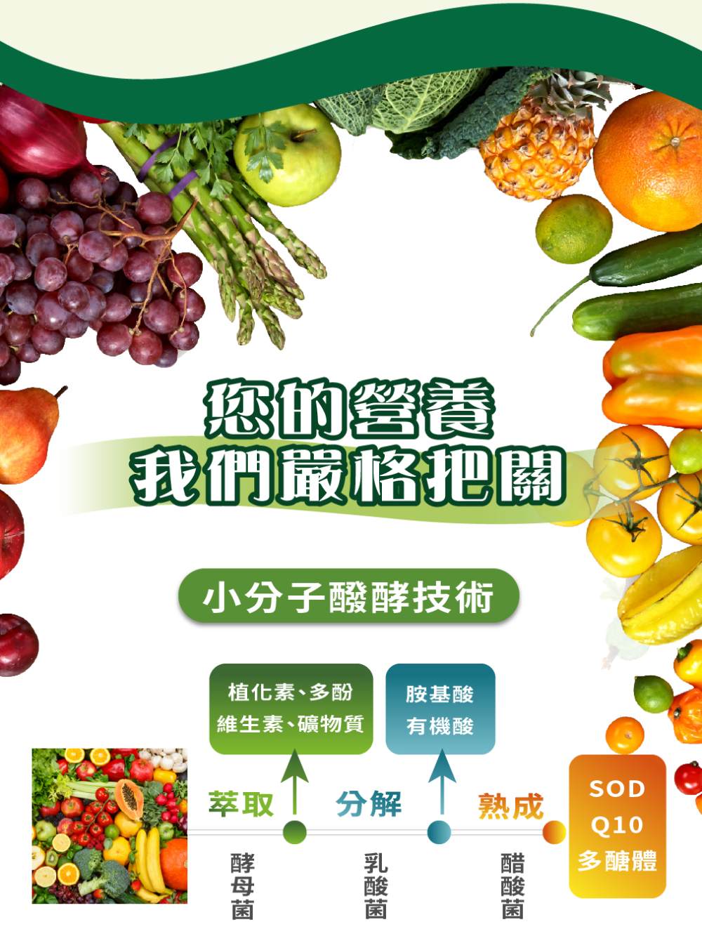 大漢酵素 V52蔬果維他植物醱酵液6+1特惠組