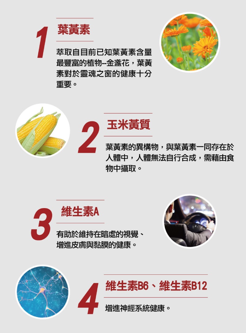 德之寶 金盞花萃取物(含葉黃素)複方日夜軟膠囊